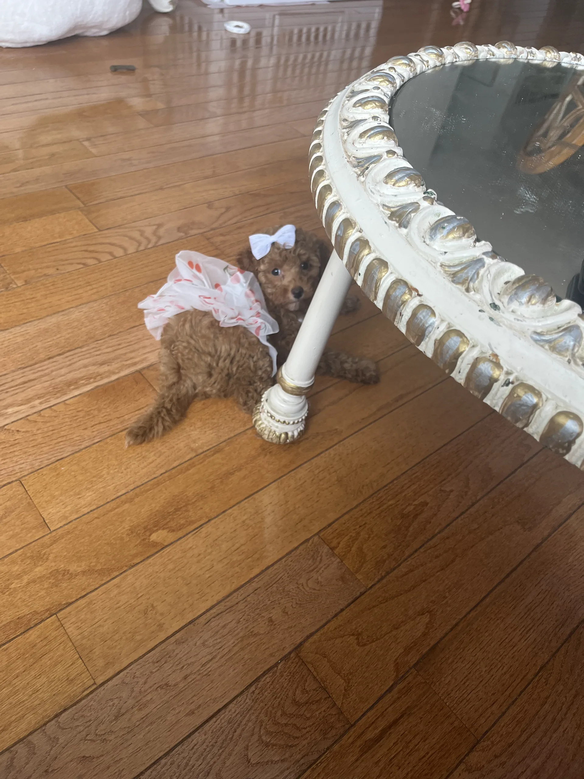 Leeya playing at home